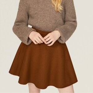 Jason Wu Wool Cashmere Flannel Skater Skirt Brown Quiet Luxury Size 0 Minimalist